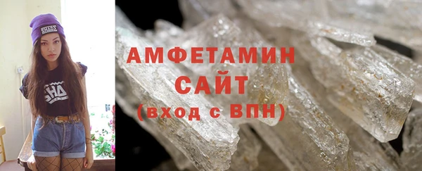крисы Инта