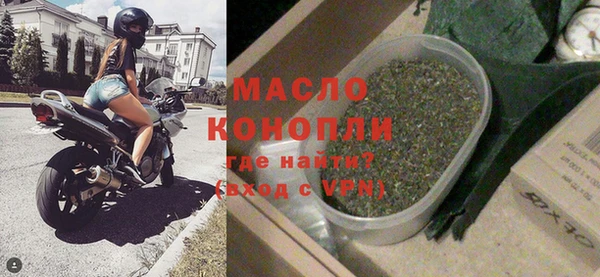крисы Инта