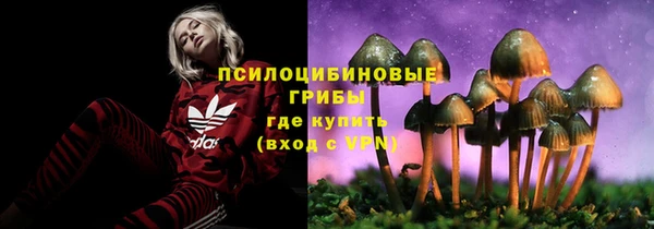крисы Инта