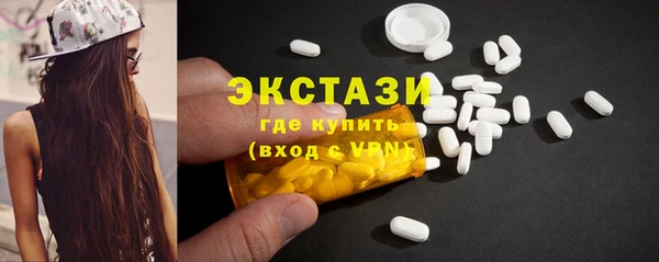 крисы Инта