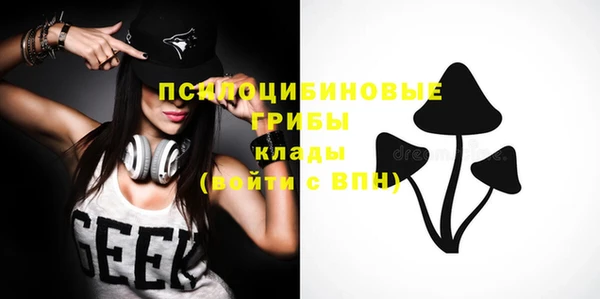 крисы Инта