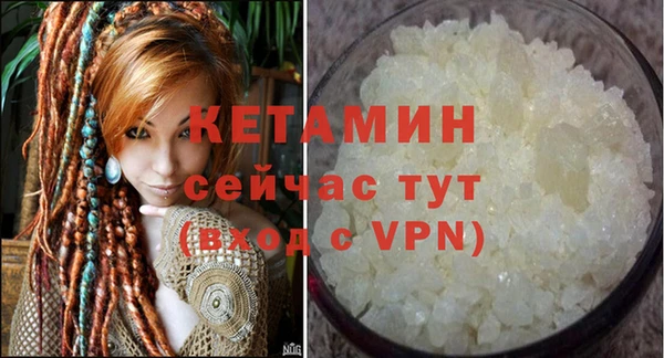 крисы Инта