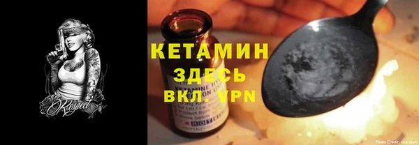 крисы Инта