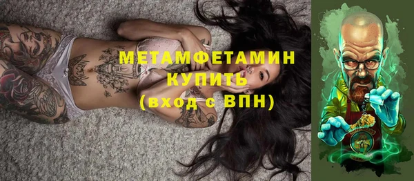 крисы Инта