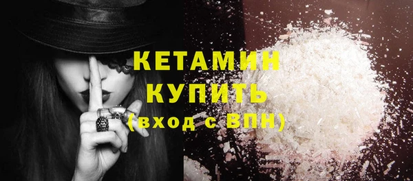 крисы Инта