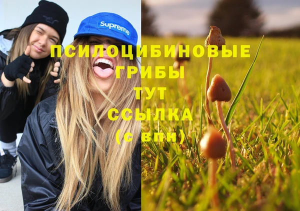 крисы Инта