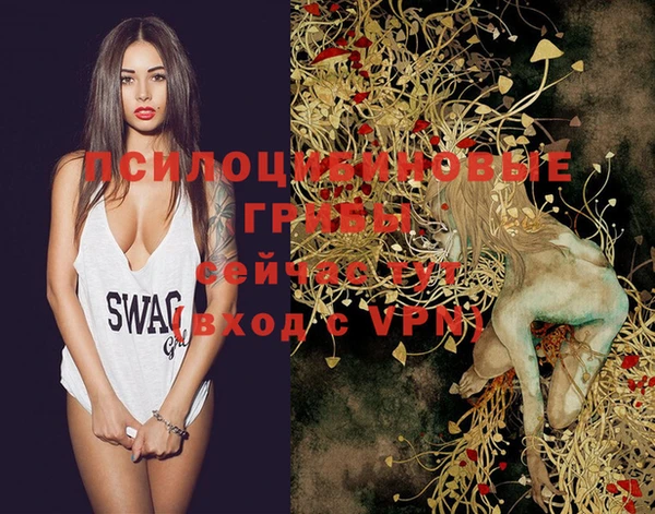 крисы Инта