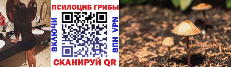 купить закладку  Новый Уренгой  Псилоцибиновые грибы MAGIC MUSHROOMS 